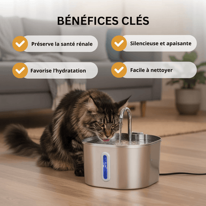 Protégé votre chat de la déshydratation et des urgences urinaires avec Aquafel