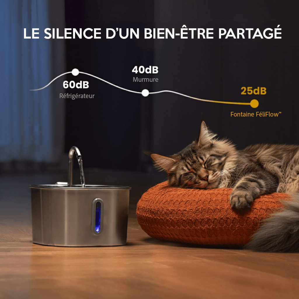 Protégé votre chat de la déshydratation et des urgences urinaires avec Aquafel