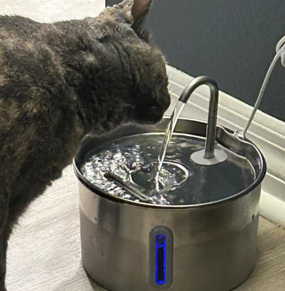 Protégé votre chat de la déshydratation et des urgences urinaires avec Aquafel