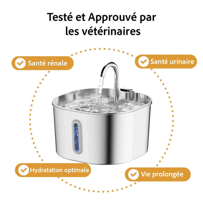 Protégé votre chat de la déshydratation et des urgences urinaires avec Aquafel